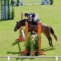  pony for sport