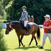  pony for sport