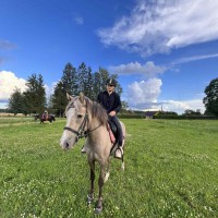 Eesti tõugu mära koos märavarsaga