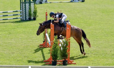  pony for sport