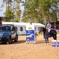  pony for sport