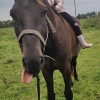 Covid